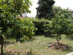 Apartmani Vera - Kuca2