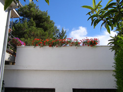 Apartmani Vera - Kuca2