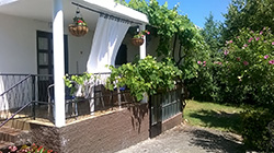 Apartments Vera - Cottage