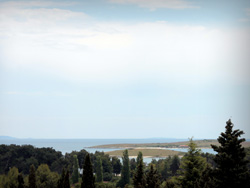 Apartments Vera - Apartment Rose